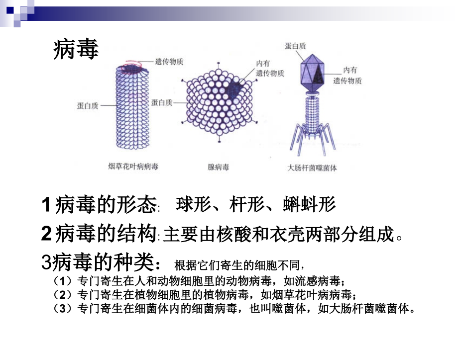 人教版高中生物必修一分子与细胞资料完整课件_第4页