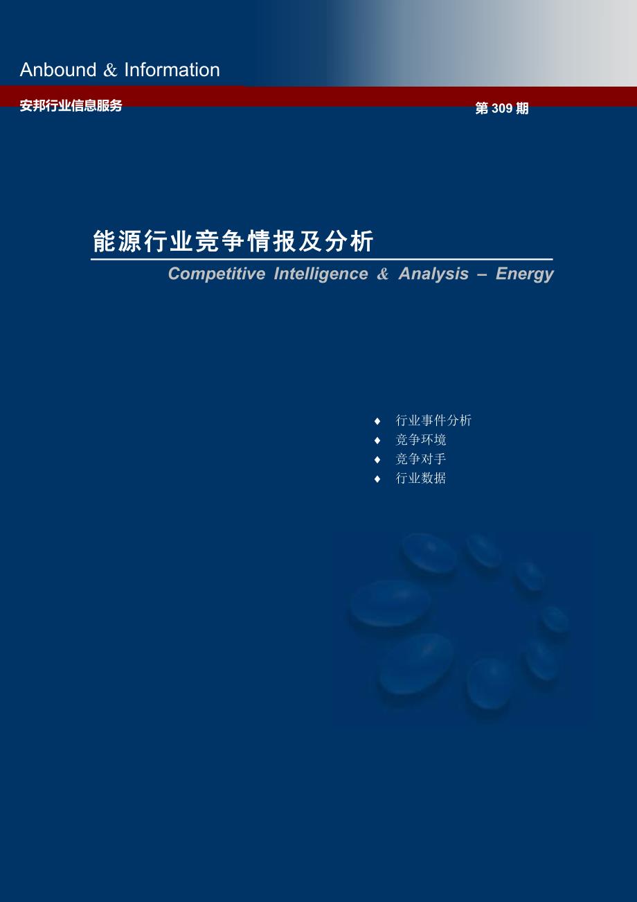 能源行业竞争情报及分析.doc_第1页
