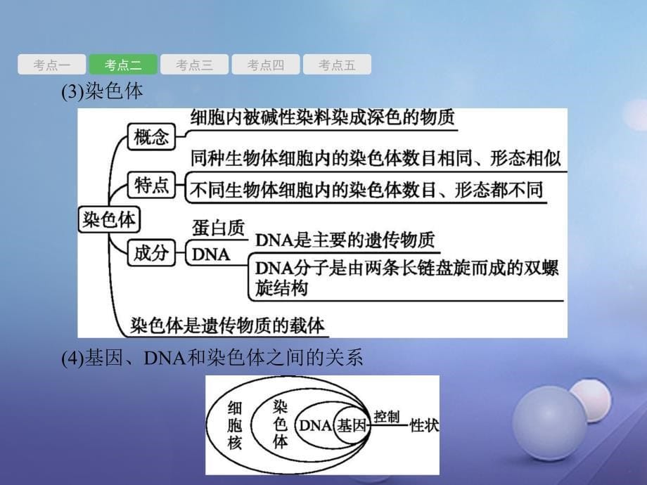 甘肃省2018中考生物总复习 第19讲 生物的遗传与变异课件_第5页