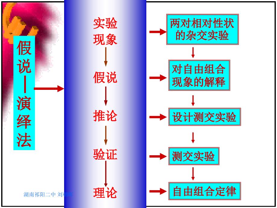 高一生物必修212孟德尔的豌豆杂交实验二新_第2页