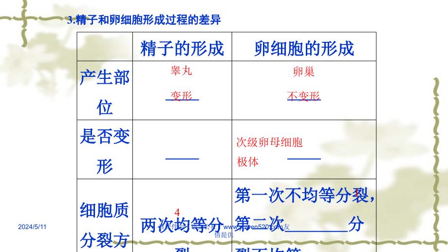 高考生物专题精讲课件1-15高考生物专题精讲课件8遗传的细胞基础共29张_第4页