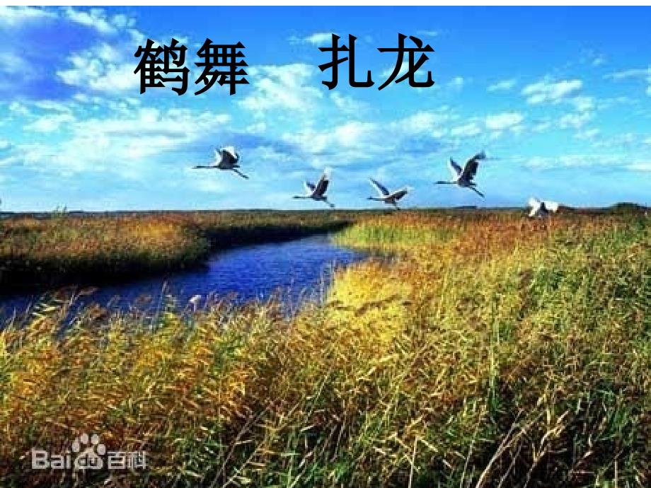 鹤舞扎龙课件_第1页