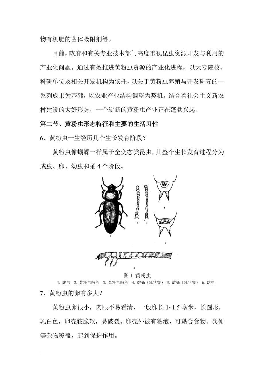 黄粉虫养殖宝典.doc_第5页