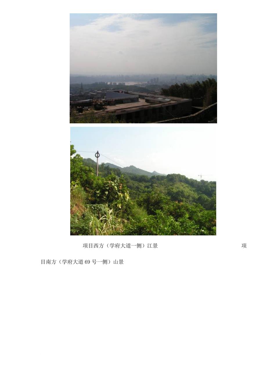 重庆某地产项目市场调研报告.doc_第3页