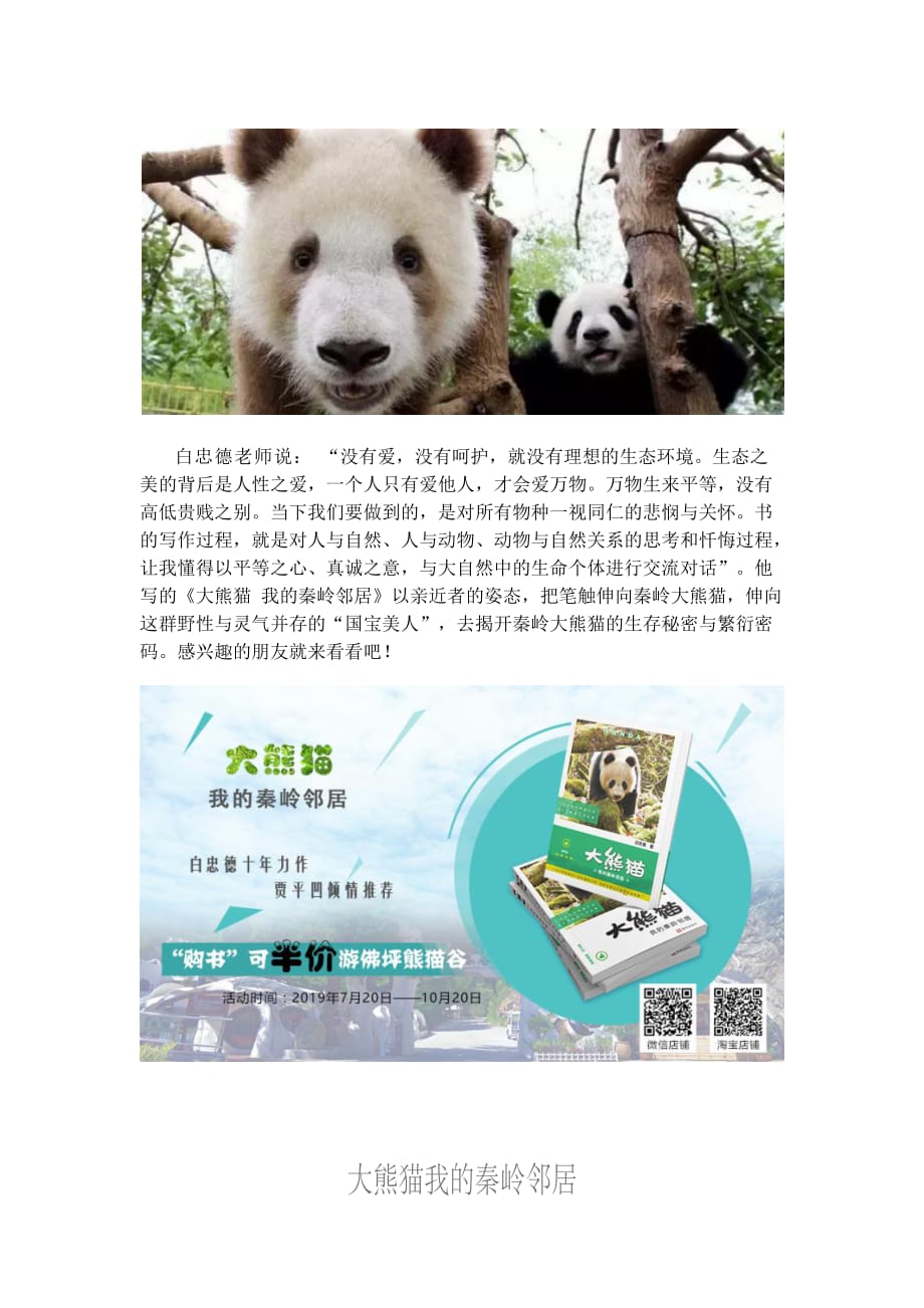 《大熊猫 我的秦岭邻居》如何更好地观赏大熊猫_第2页
