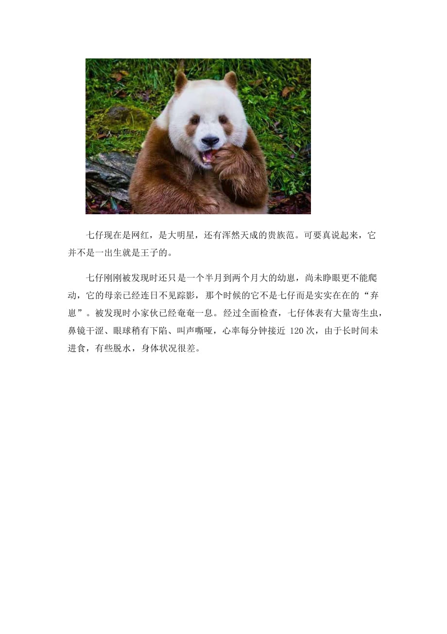 《大熊猫 我的秦岭邻居》没墨了的七仔_第2页