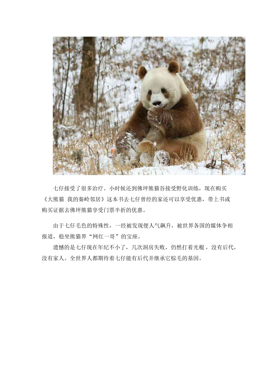 《大熊猫 我的秦岭邻居》没墨了的七仔_第3页