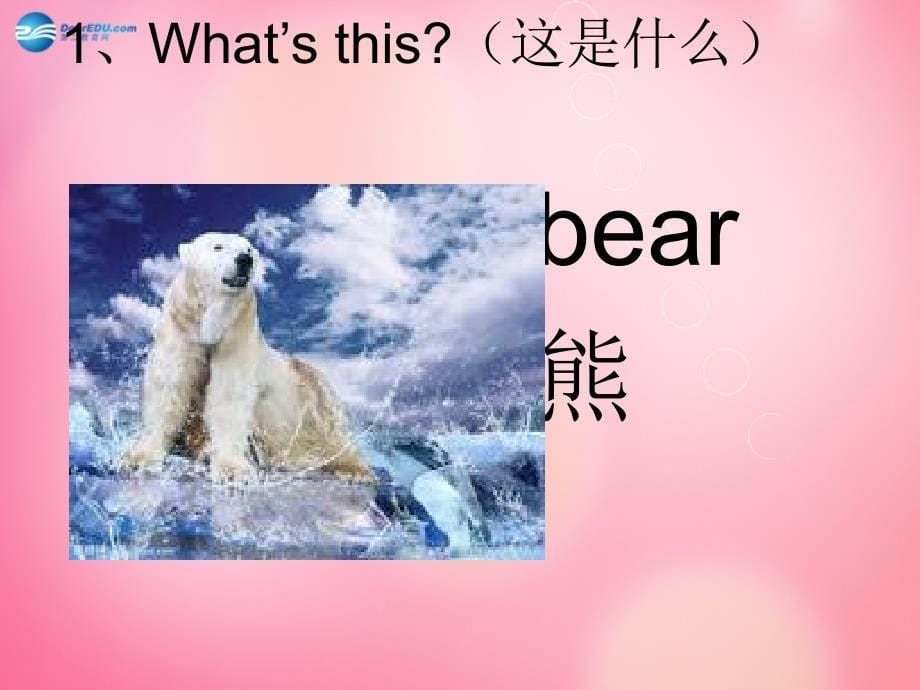 三年级英语下册 unit 2 lesson8 tigers and bears课件 冀教版（三起）_第5页