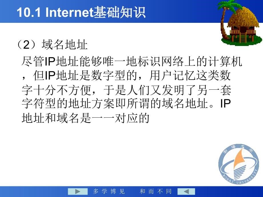 大学计算机基础教学课件郑丽娟第10章Internet知识与应用_第5页