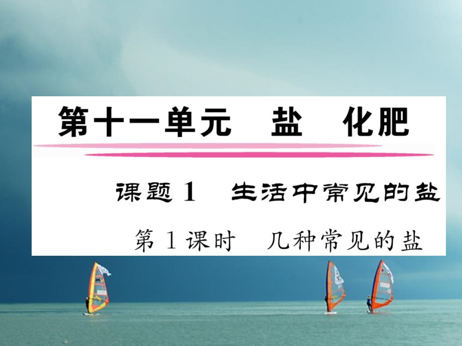 2018春九年级化学下册 第11单元 盐 化肥 课题1 生活中常见的盐 第1课时 几种常见的盐作业课件 （新版）新人教版_第1页