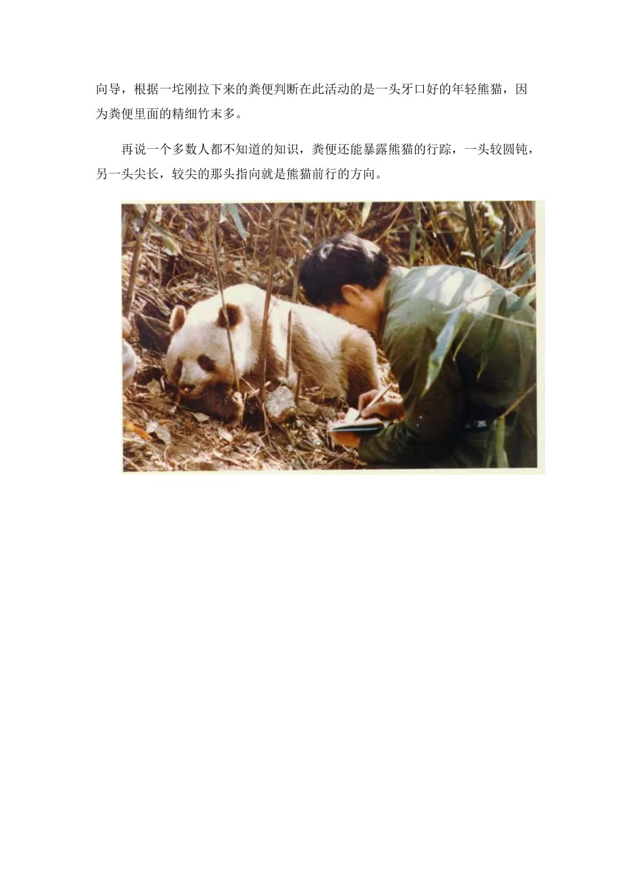 读《大熊猫 我的秦岭邻居》大熊猫的粪便竟然是香的_第2页