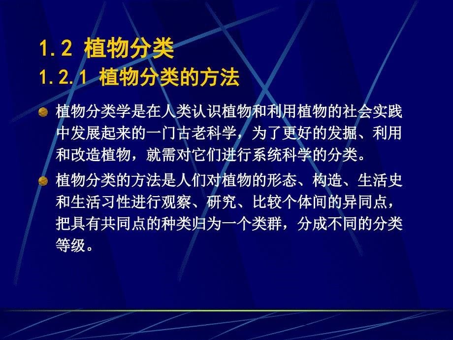 园林植物教学课件 黄金凤 第3章 园林植物的分类_第5页