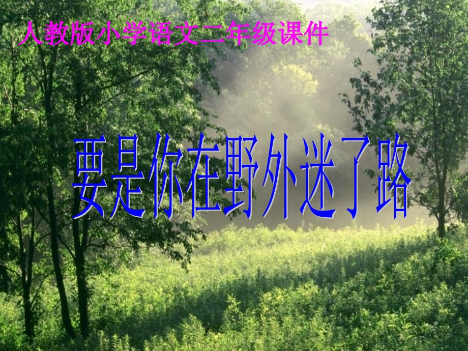 二年级下册《要是你在野外迷了路》-课件_第2页