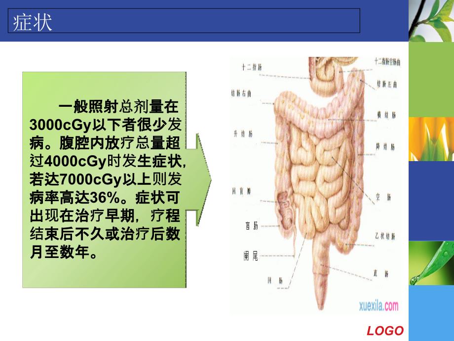 放射性直肠炎护理及相关护理措施.._第3页