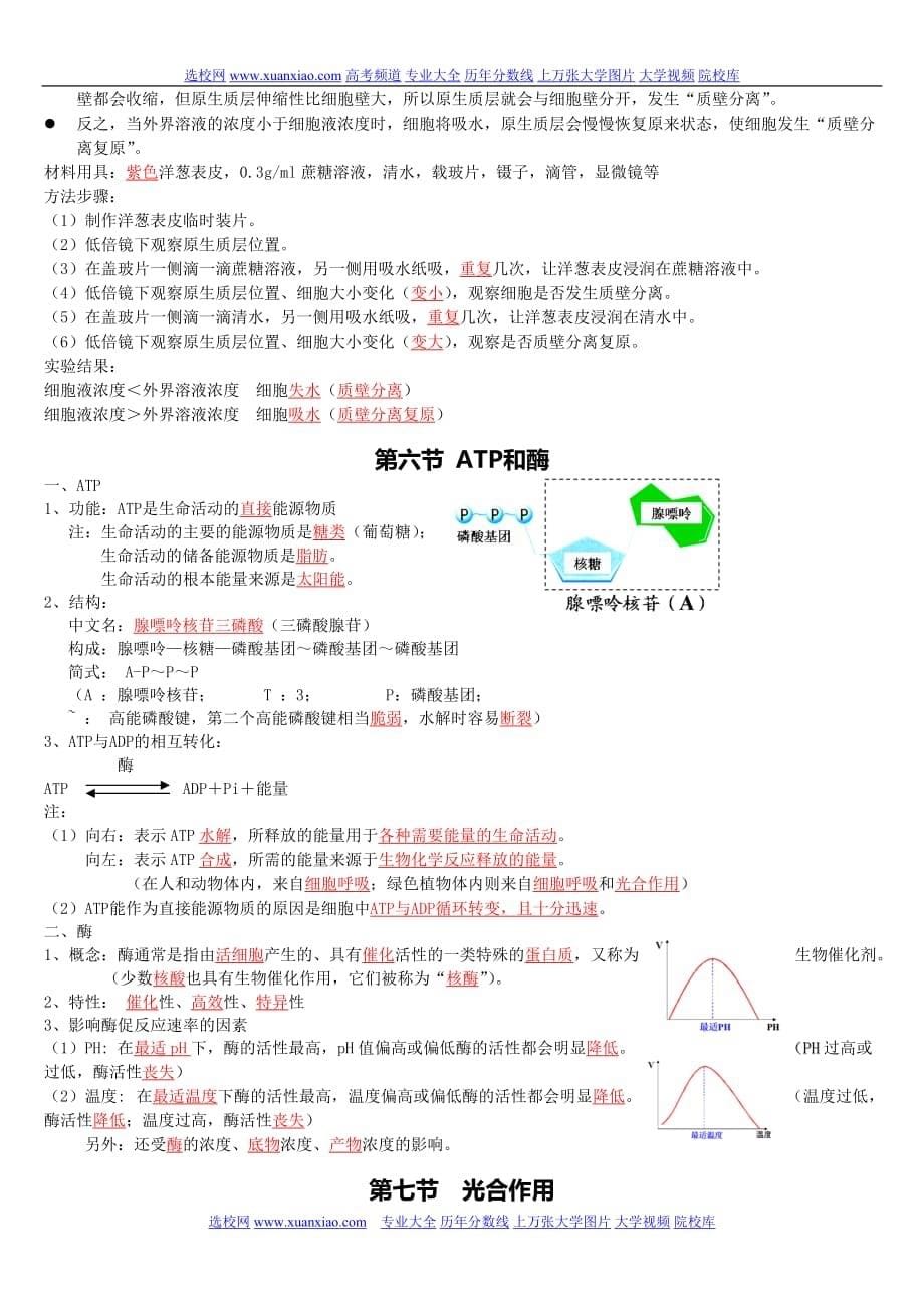 高中生物第一轮复习知识点汇总资料_第5页