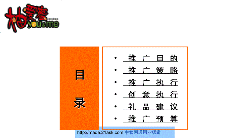 2009年上海利达柚爱蜜饮料促销企划案_第2页