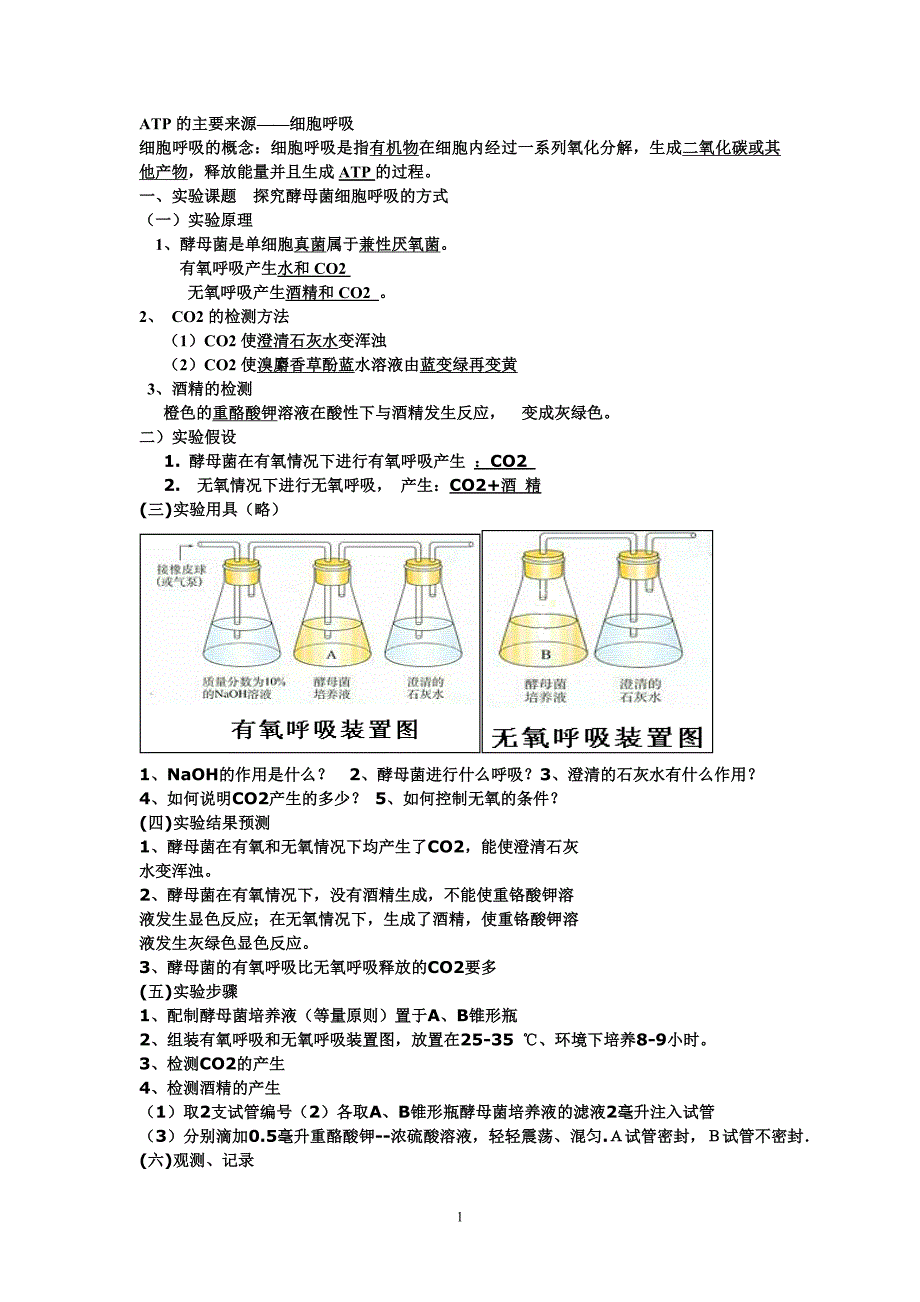 光合作用和呼吸作用知识点总结资料_第1页