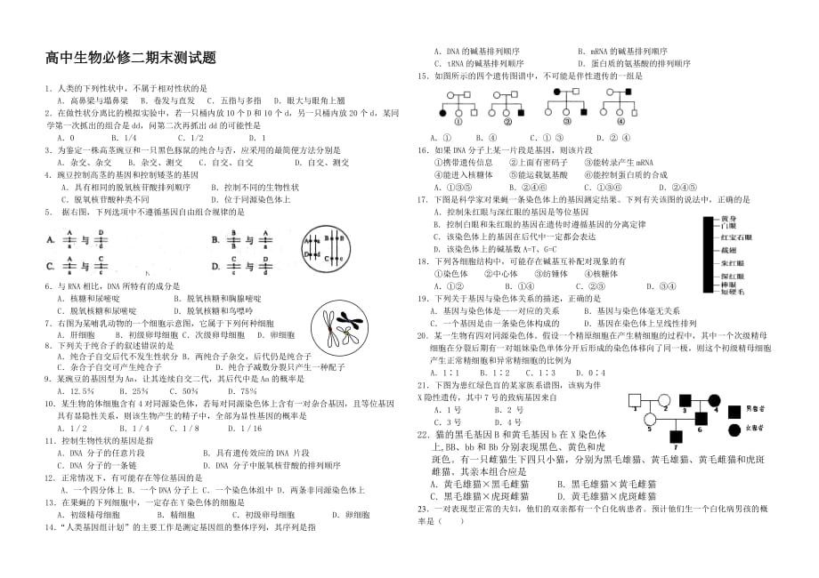 高中生物必修二期末试题及答案17233资料_第1页