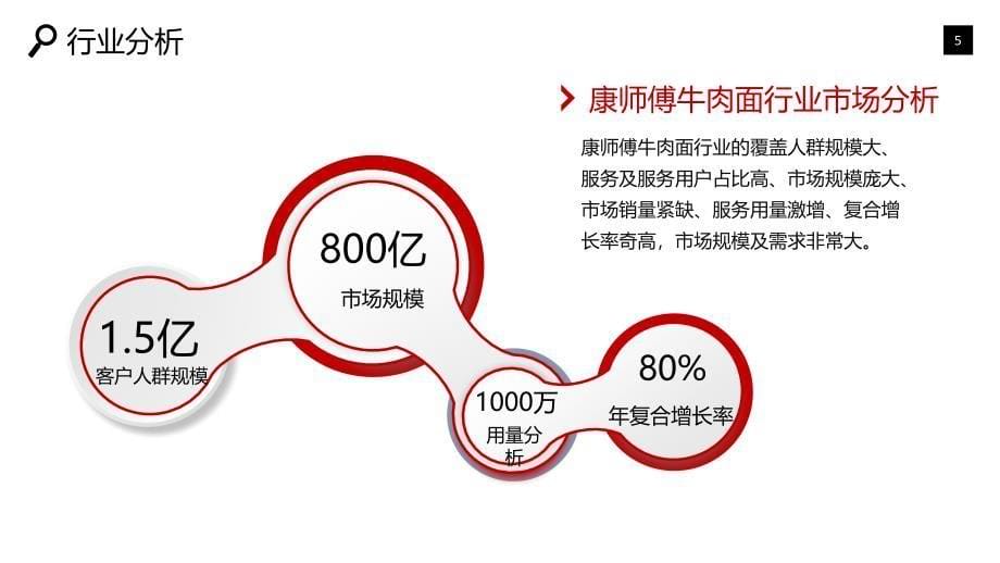 2019康师傅牛肉面行业可行性投资调研_第5页