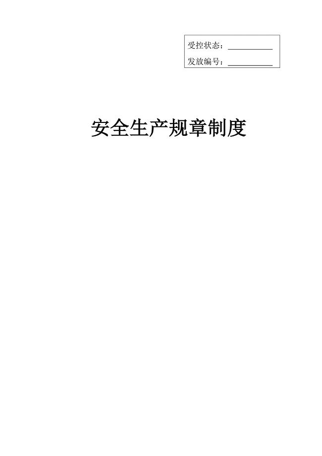 某企业安全标准化管理制度（98P Doc）