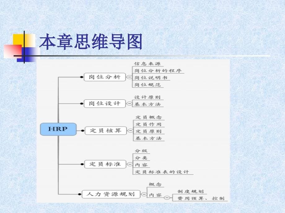 助理人力资源管理师讲座之人力资源规划.ppt_第5页