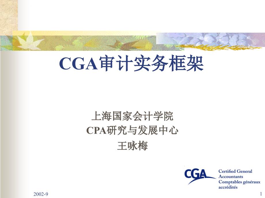 cga审计实务培训框架.ppt_第1页