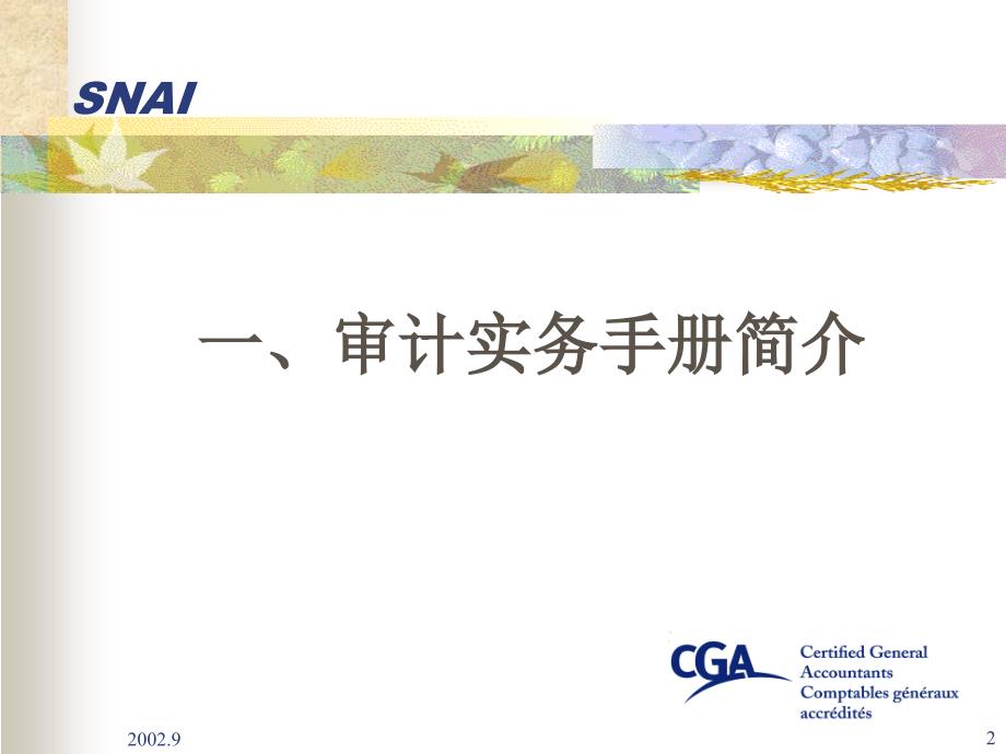 cga审计实务培训框架.ppt_第2页