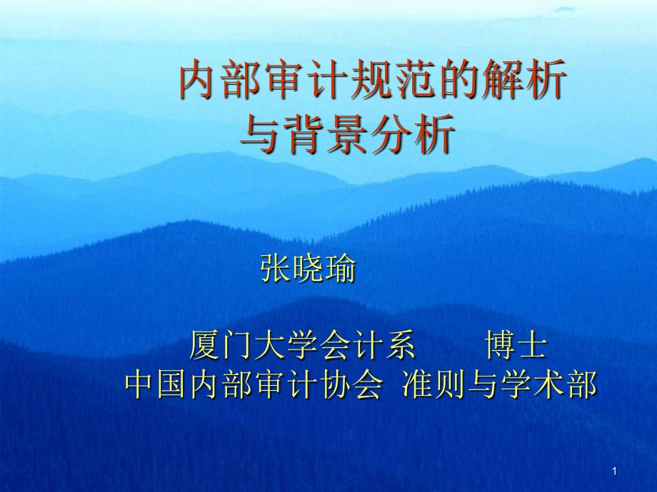 企业内部审计规范的解析.ppt_第1页