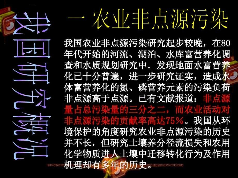 非点源污染研究现状.ppt_第5页