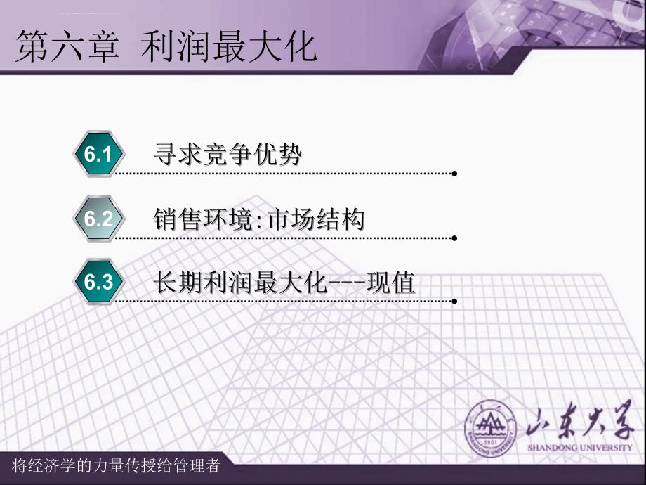 利润最大化的市场竞争.ppt_第2页