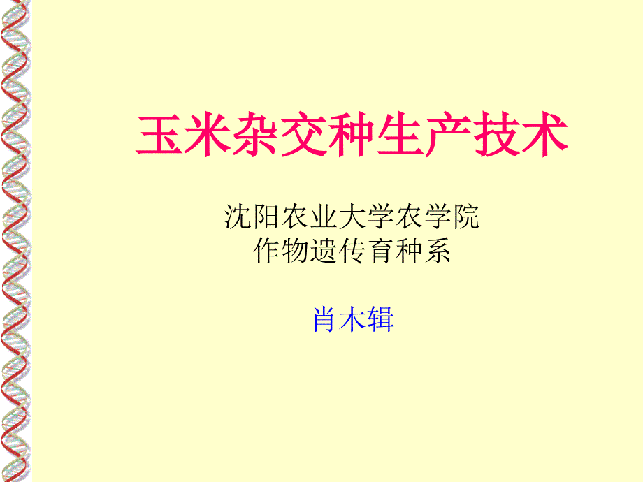 玉米杂交种生产技术培训知识.ppt_第1页