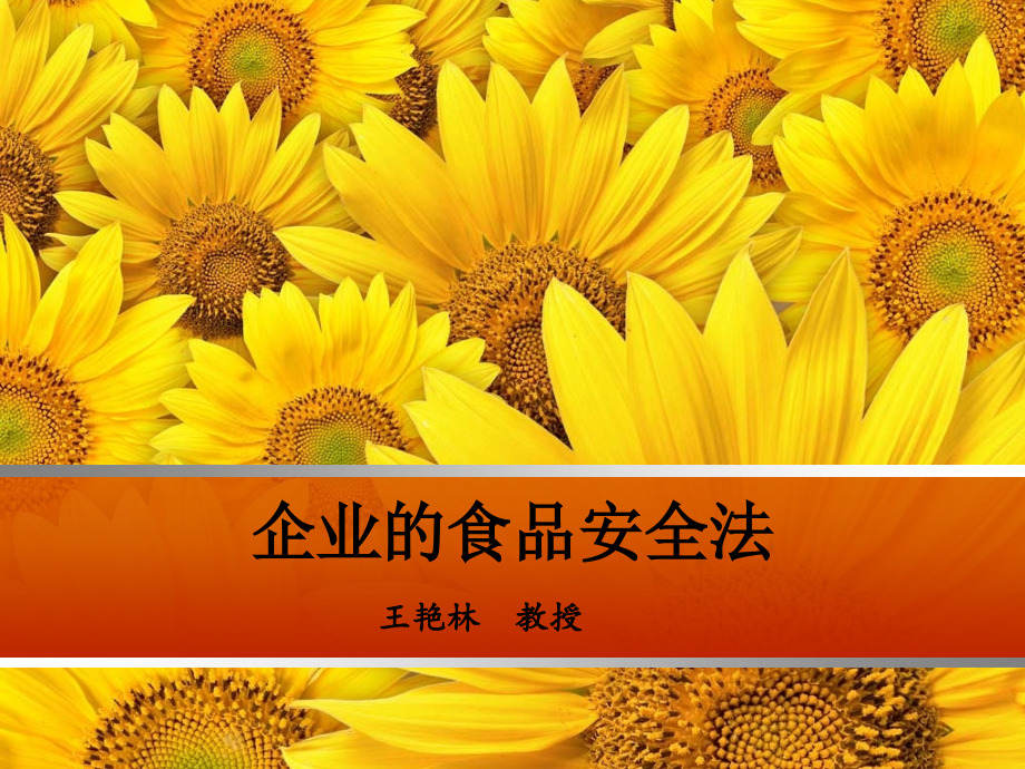 企业的食品安全法.ppt_第1页