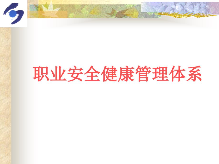 职榠安全健康管理体系.ppt_第1页