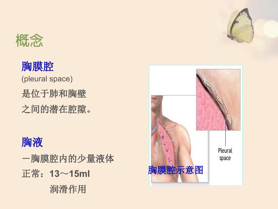 胸腔积液病人的护理_第2页