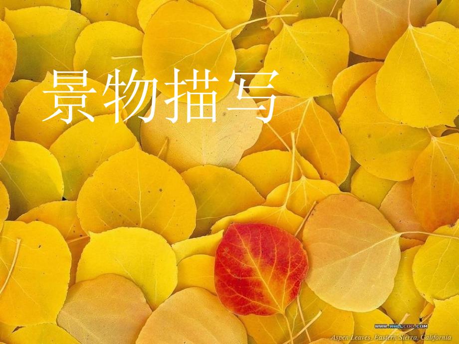 三年级语文上册 第一单元 秋天的味道课件3 长春版_第1页