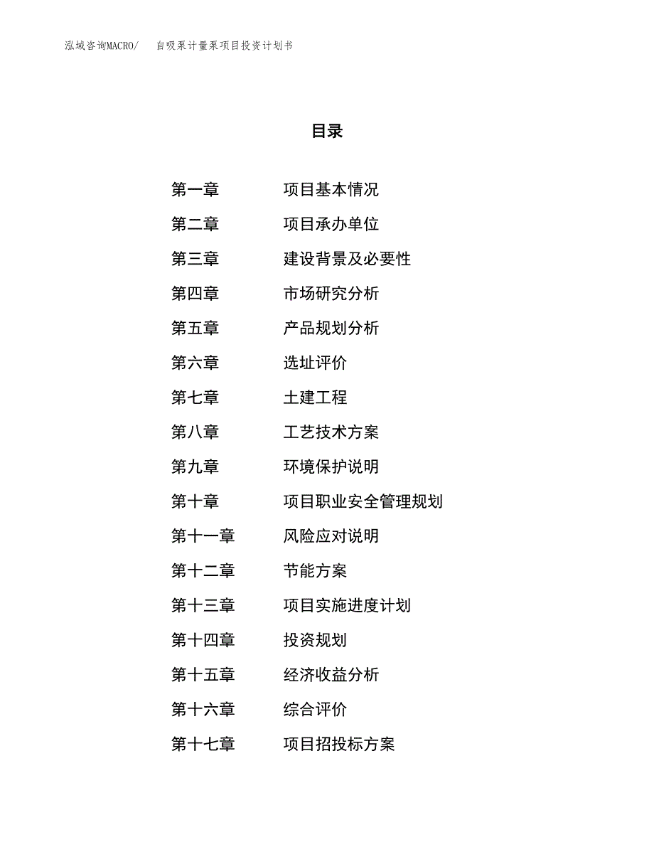 自吸泵计量泵项目投资计划书（16亩）.docx_第1页