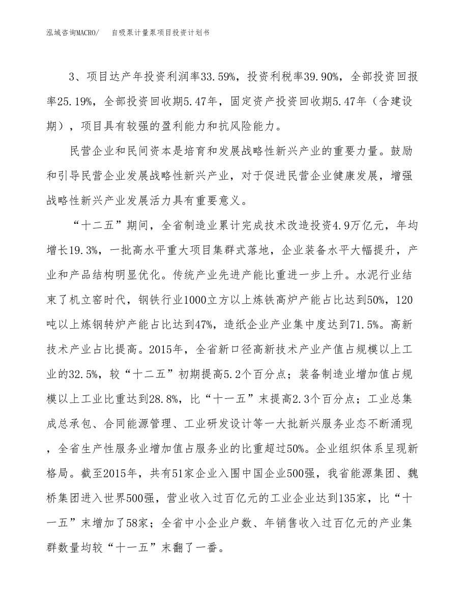 自吸泵计量泵项目投资计划书（16亩）.docx_第5页