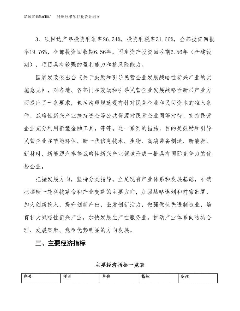 特殊胶带项目投资计划书（16亩）.docx_第5页