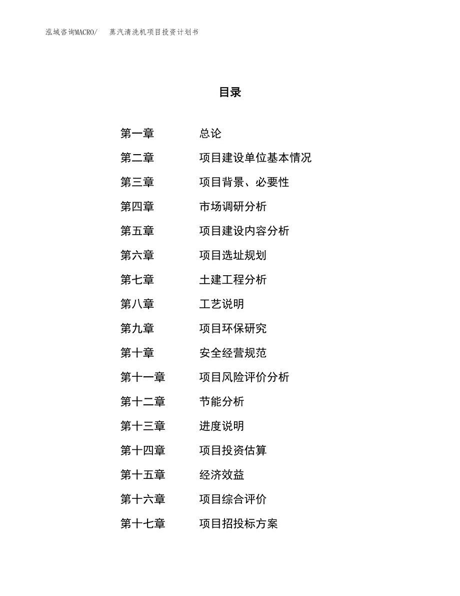 蒸汽清洗机项目投资计划书（62亩）.docx_第1页