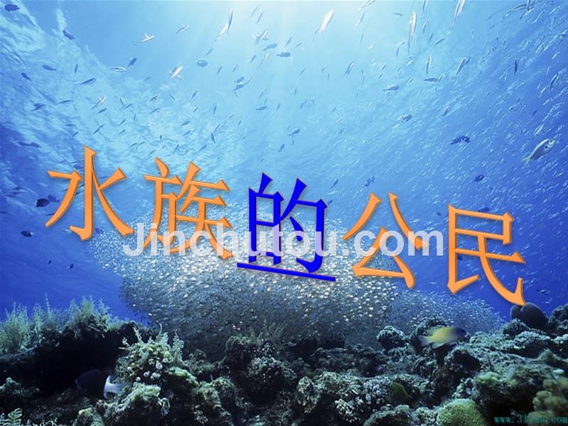 四年级上册科学课件水族的公民湘科版_第1页