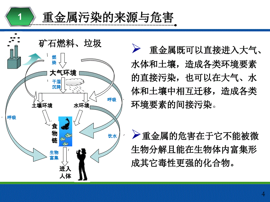 能源利用过程中重金属污染及控制_第4页