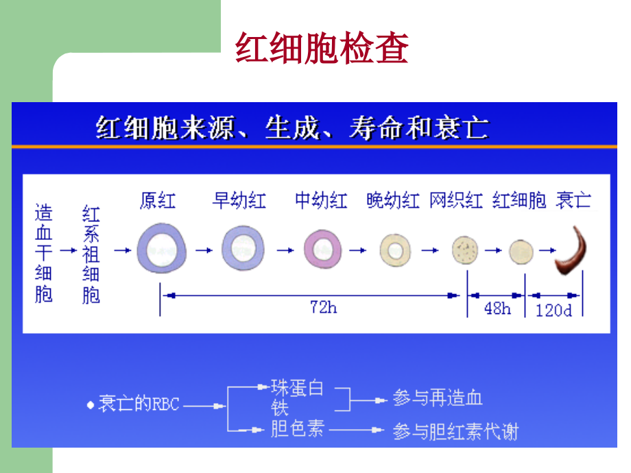 常用实验室检查血常规资料资料_第2页