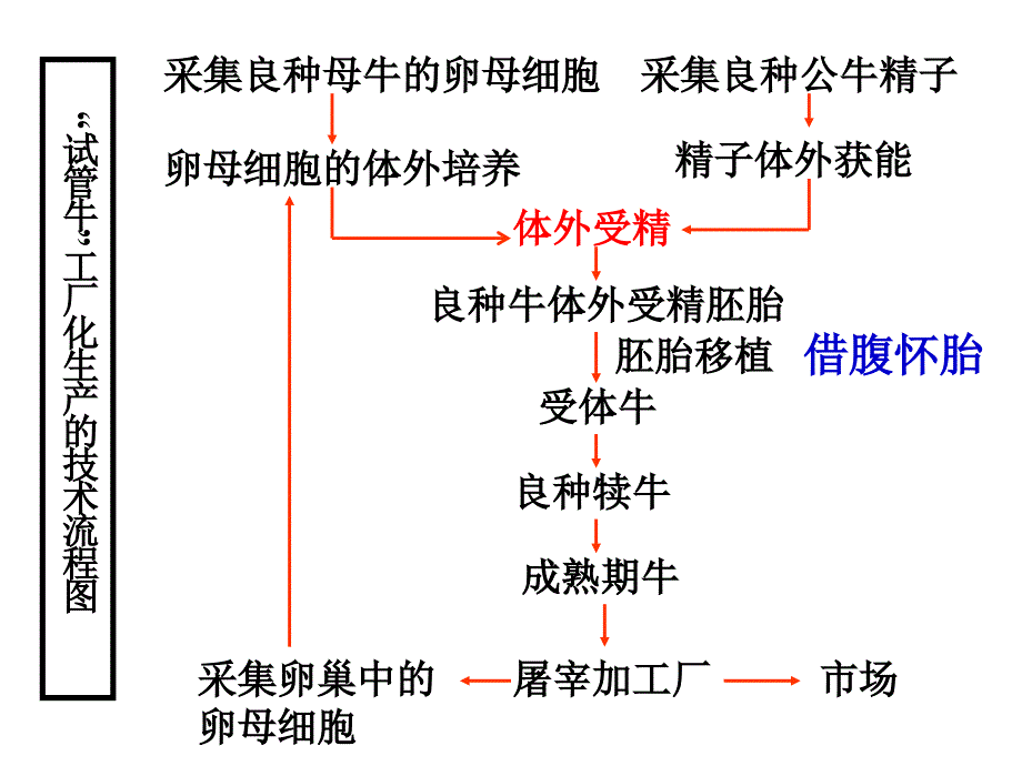 体外受精_第4页