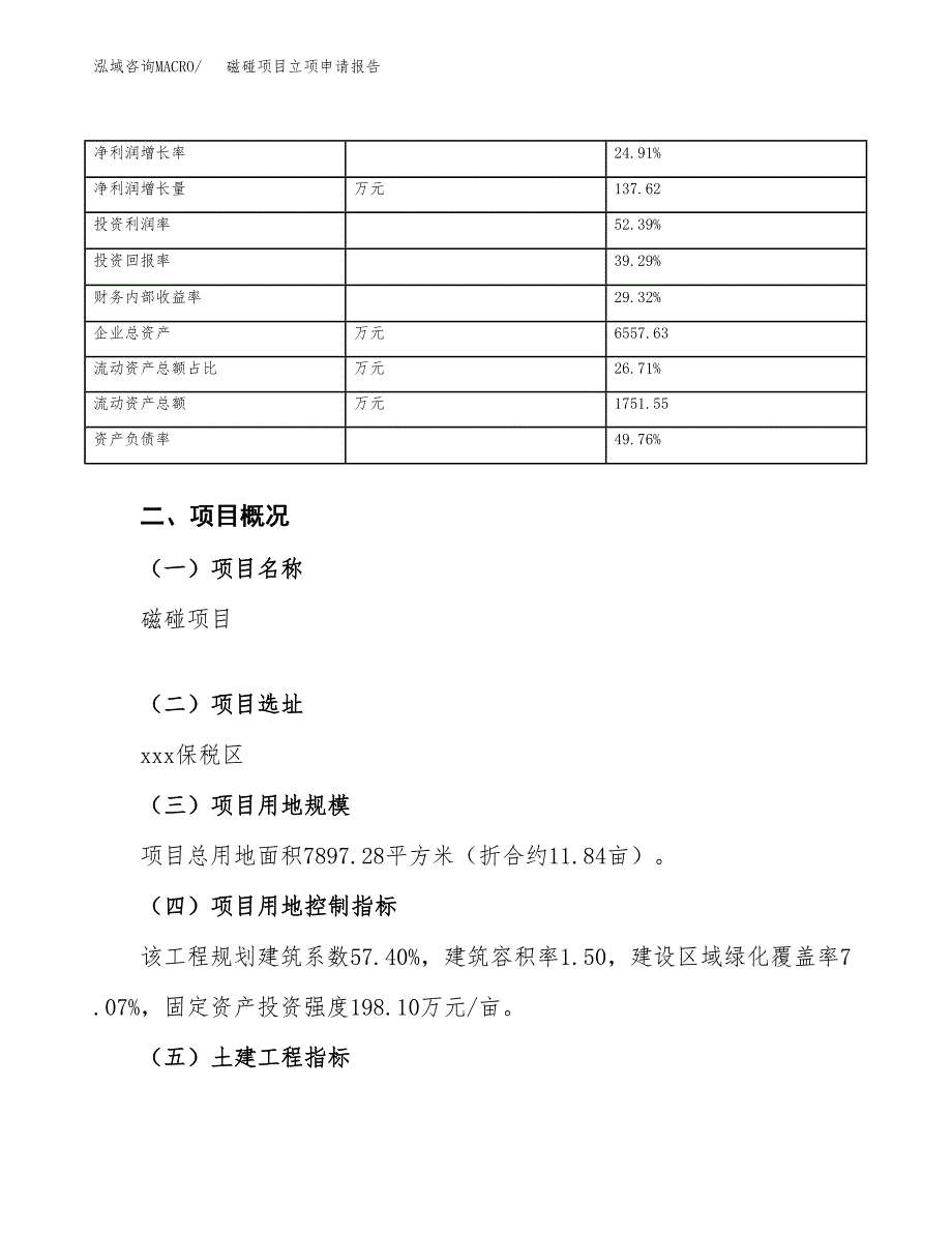 磁碰项目立项申请报告（总投资3000万元）_第4页