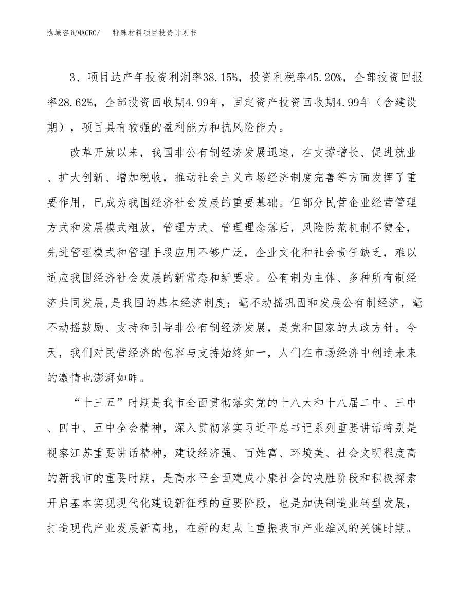 特殊材料项目投资计划书（66亩）.docx_第5页