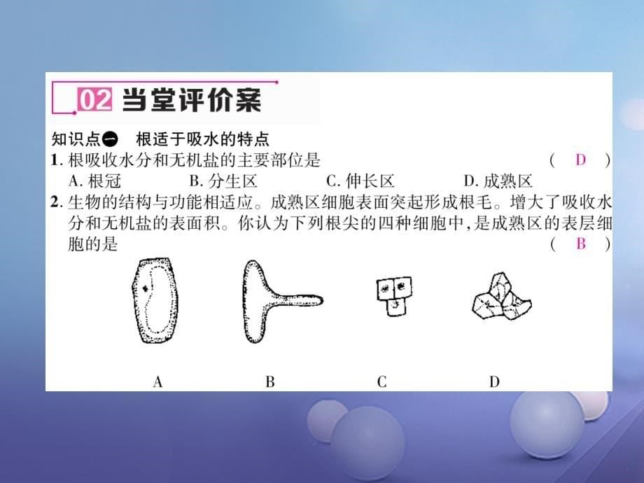 2017年秋七年级生物上册 3.3 绿色植物与生物圈的水循环（第1课时）作业课件 （新版）新人教版_第5页