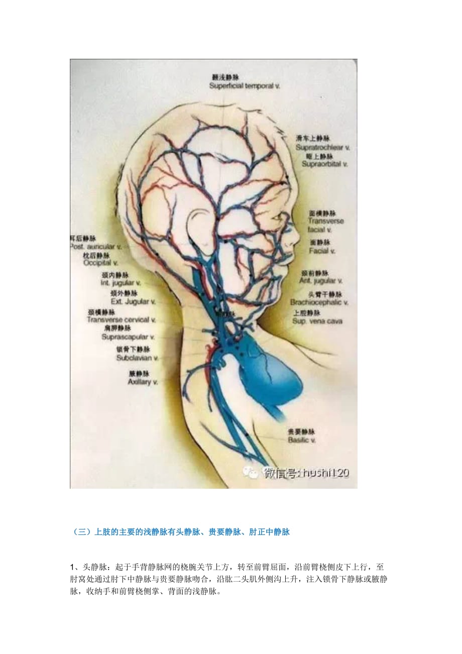 儿科静脉穿刺技巧.doc_第2页