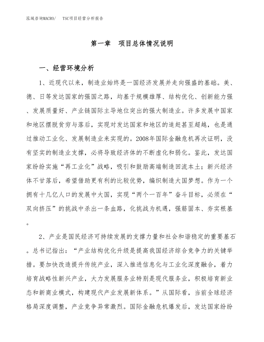 TSC项目经营分析报告（总投资10000万元）.docx_第2页