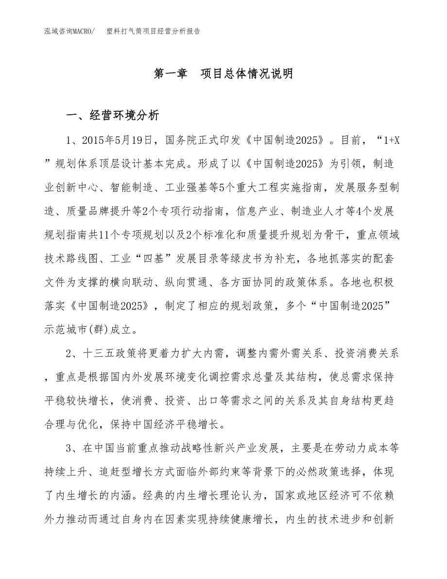 塑料打气筒项目经营分析报告（总投资19000万元）.docx_第2页