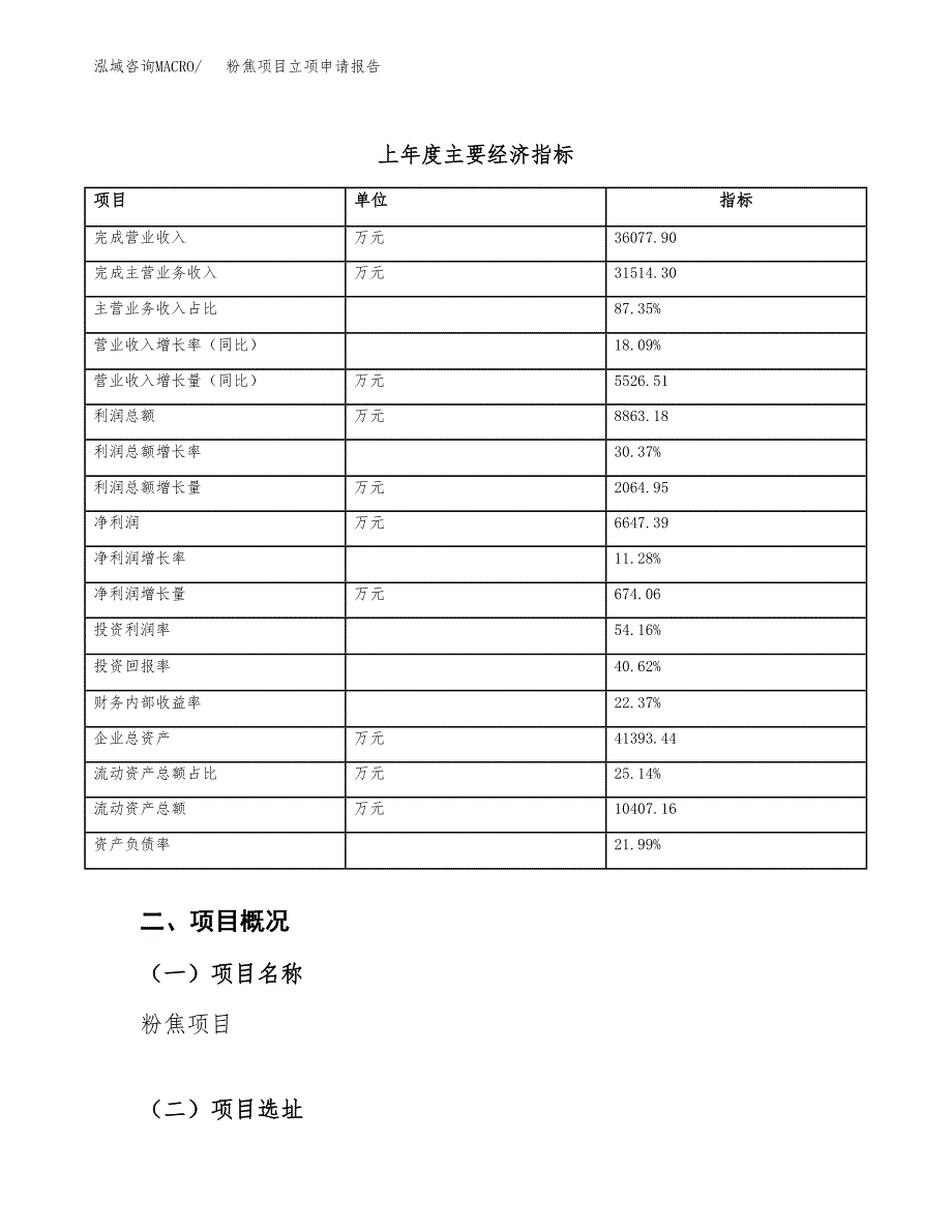 粉焦项目立项申请报告（总投资23000万元）_第4页